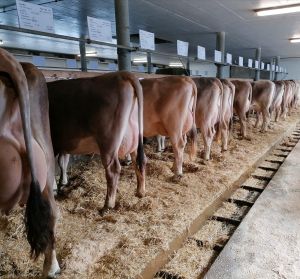 94fb5399-950e-46cf-89b7-34d3b51bcf7d